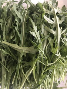 蘇州園區西餐配菜新風尚 禾子生態食品，新鮮與品質的雙重臻選