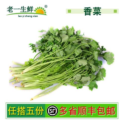 【老一生鮮】 新鮮蔬菜 香菜 芫荽 250g